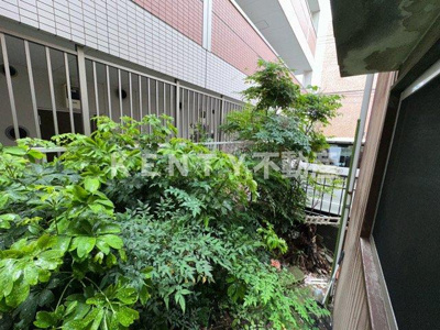 【展望】 | サンビレイ１