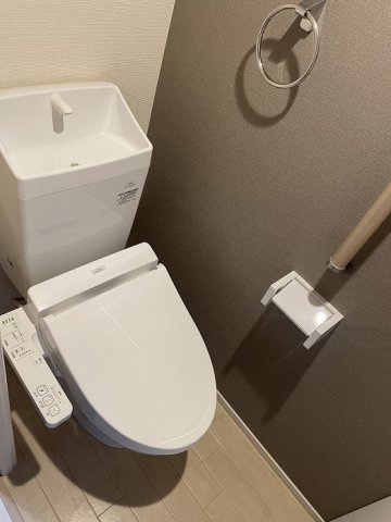 ミランダアザレアのその他