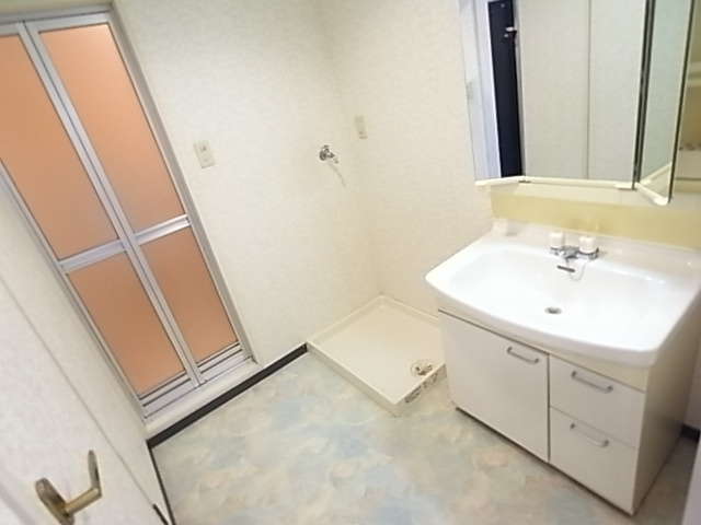 ベルシャンテ美山台の洗面所