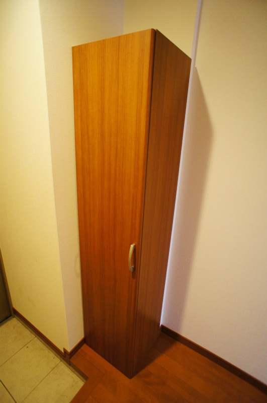 久留米市津福今町の賃貸マンションの収納|こまごまとしたものを収納できそうですね