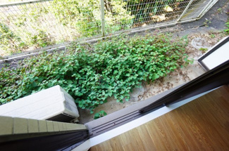 【庭】 | ライフゾーン梶ヶ谷