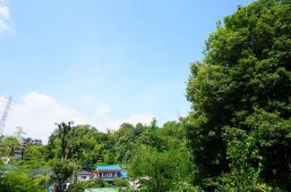 【展望】 | ライフゾーン梶ヶ谷