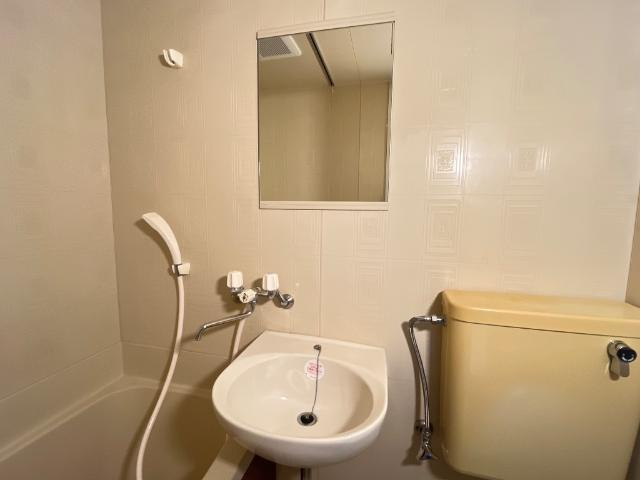 ブライトプレイスあゆちの洗面所|洗面