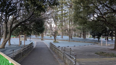 【周辺】 | 新宿区大久保2丁目戸建