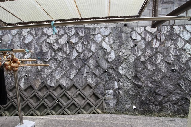 林コーポラスの展望