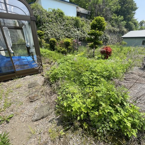 登別市美園町6丁目38-1戸建の庭