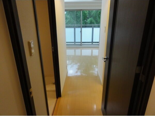 CASSIA車道(旧:クリオ車道)の内装