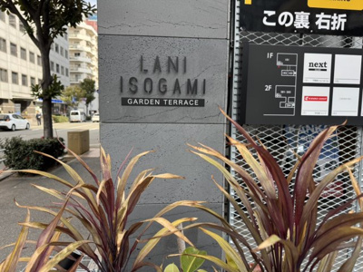 【その他】 | LANI ISOGAMI