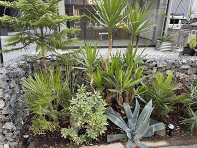 【内装】 | LANI ISOGAMI