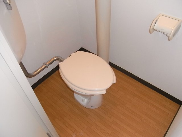 大和スカイハイツのトイレ