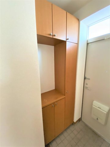 レイ ヒルズのその他