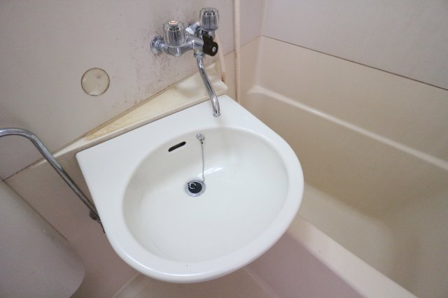 パンシオン垂水の洗面所