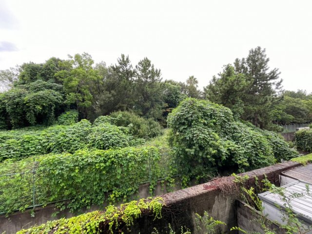 クレセント垂水の展望