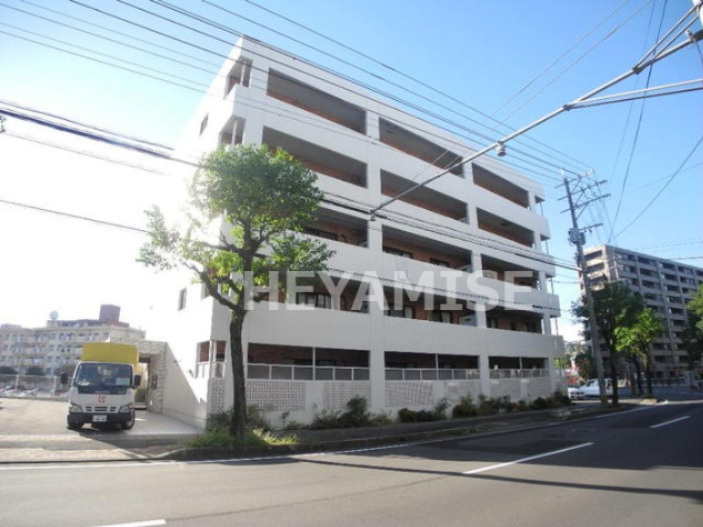 modern palazzo文教