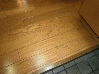 【玄関】 | メゾン・トキワ 