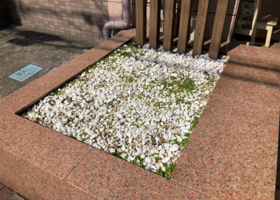 【庭】 | ドラゴンマンション小田急相模原壱番館 | 物件によっては、入居者が個人的に使用できる専用庭がついているものもあります。また、住宅の中にある土間の部分を庭と呼ぶこともあります。庭の用途は住む人によって変わり、それによってデザインもさまざまです。