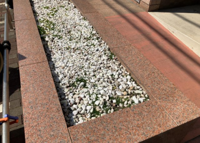 【中庭】 | ドラゴンマンション小田急相模原壱番館 | 中庭（パティオ）とは、一つの建築物の内部に設けられた、壁などで囲われている庭のことを指します。コの字型、ロの字型が主流ですが、L字型の中庭もあります。最近では、インテリア性の高さからも人気があります。