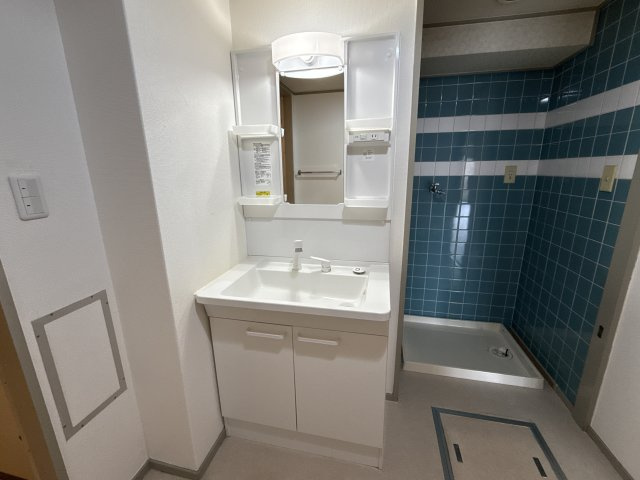 ロイヤルステイツ東辻井の洗面所