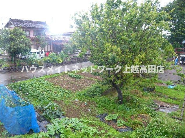 バームハイツの展望|景観