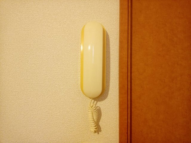 レオパレスルミエール・アイのその他