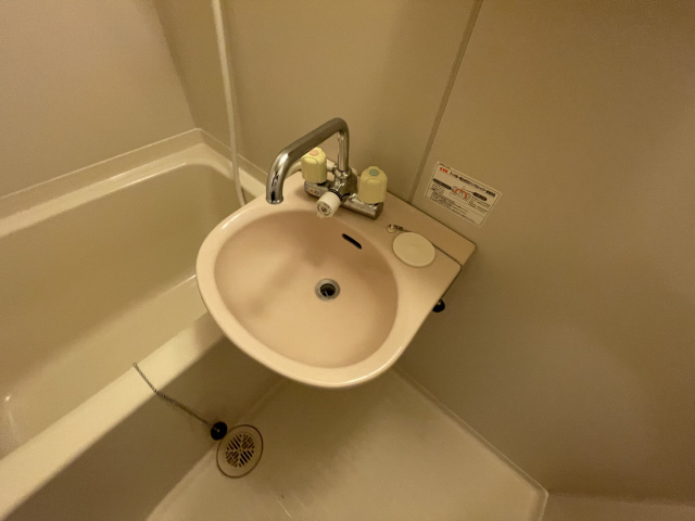 ドミール芦屋の洗面所