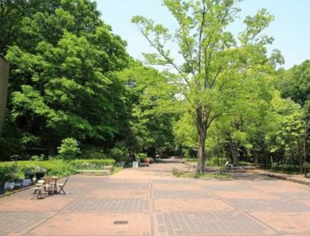 パピヨン　のその他|芹ケ谷公園