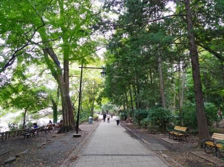 コンフォートテラス吉祥寺南の周辺