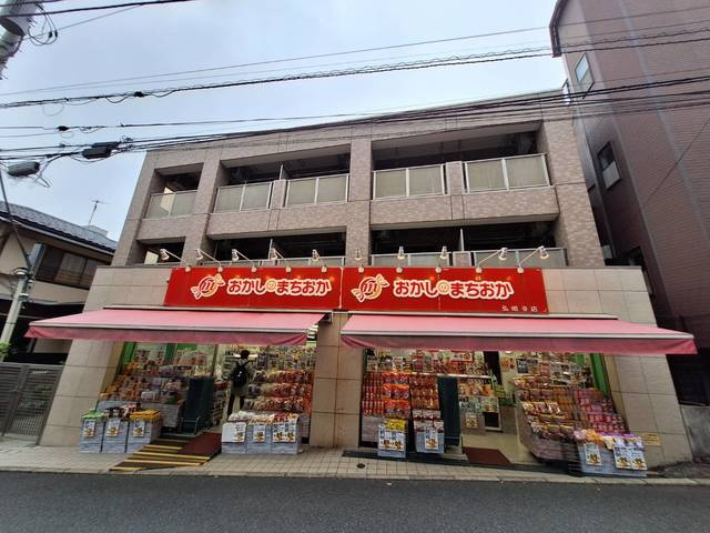 プレミール弘明寺のエントランス|1F店舗タイプの賃貸マンション