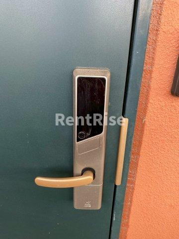 グレース篠木Vのその他