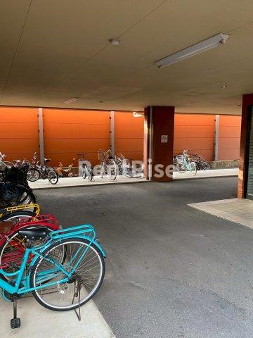 グレース篠木Vのその他