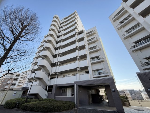 の-の画像