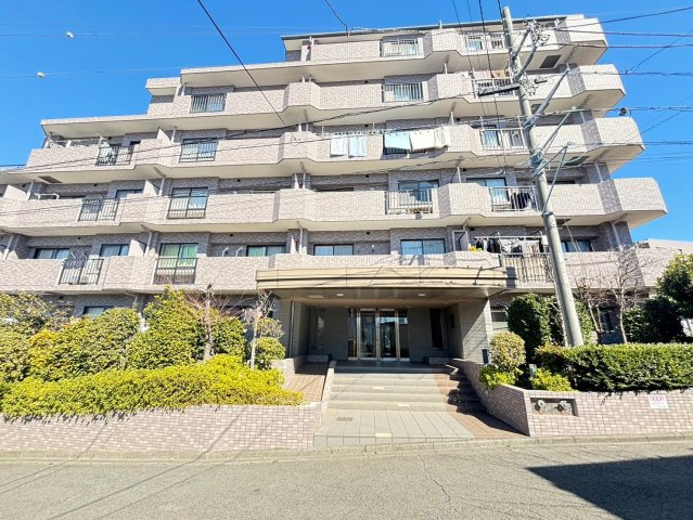 シーダム藤沢善行