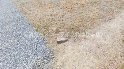 【外観】 | 加東市社