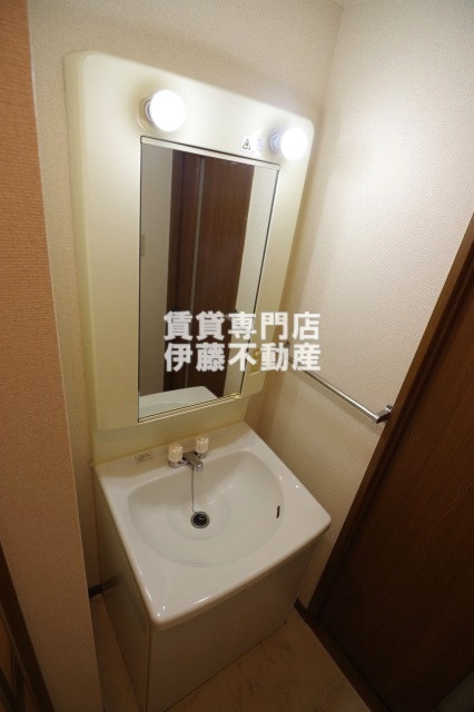 ブランメゾン八龍の洗面所