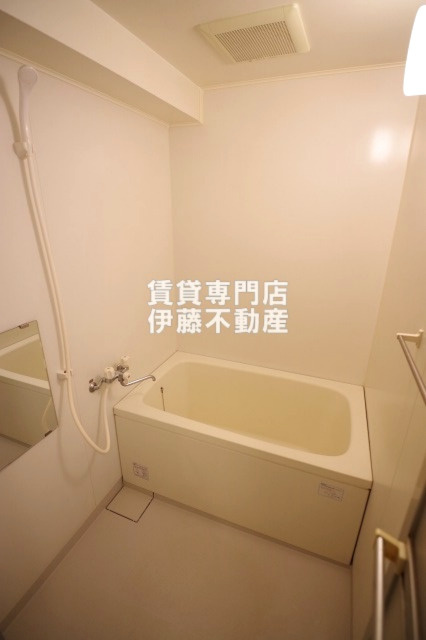 ブランメゾン八龍の浴室