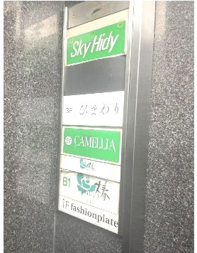 Sky Hidyのその他