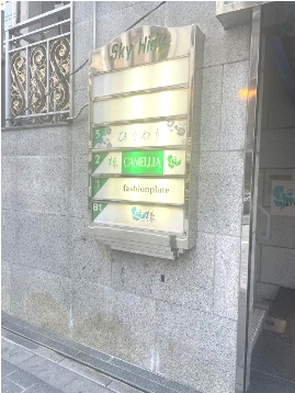 Sky Hidyのその他