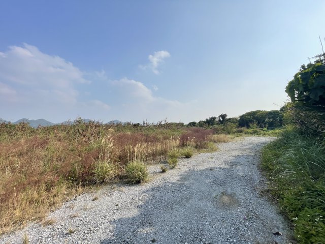 本部町豊原（限定1区画　770坪）の外観|※敷地面積771坪♪