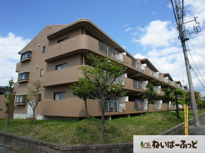 【外観】 | エコガーデン　Ｃ棟 | 安心のある外観です。エコガーデンＣ棟