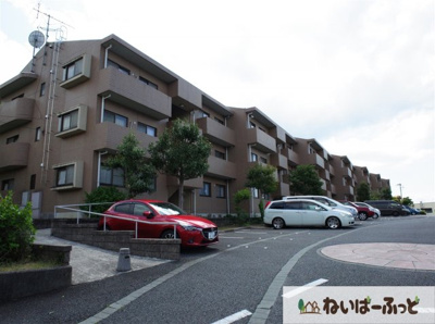 【外観】 | エコガーデン　Ｃ棟 | 開口部前は駐車場で日当たりばっちり☆エコガーデンＣ棟 