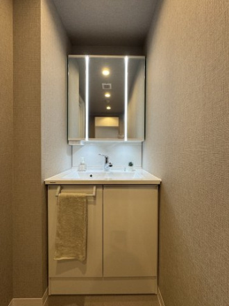 ライオンズマンション桃山南口の独立洗面台