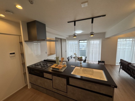 ライオンズマンション桃山南口のキッチン