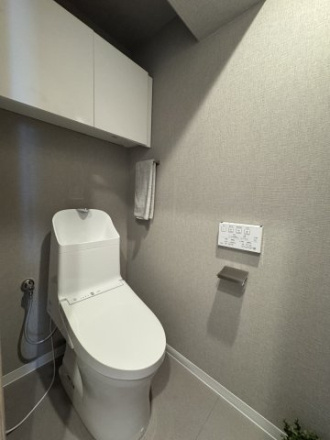 ライオンズマンション桃山南口のトイレ