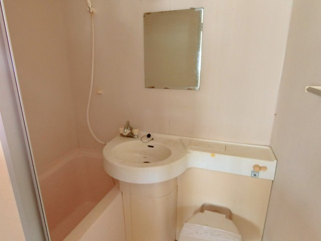 アメニティケントの洗面所