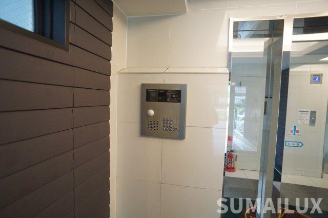 熊本市中央区新大江１丁目の賃貸マンションのエントランス