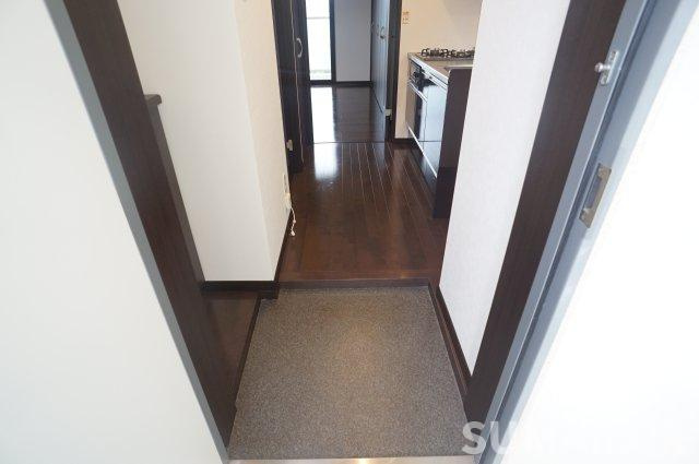熊本市中央区新大江１丁目の賃貸マンションの玄関