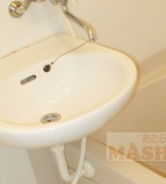 メゾンロンノルの洗面所