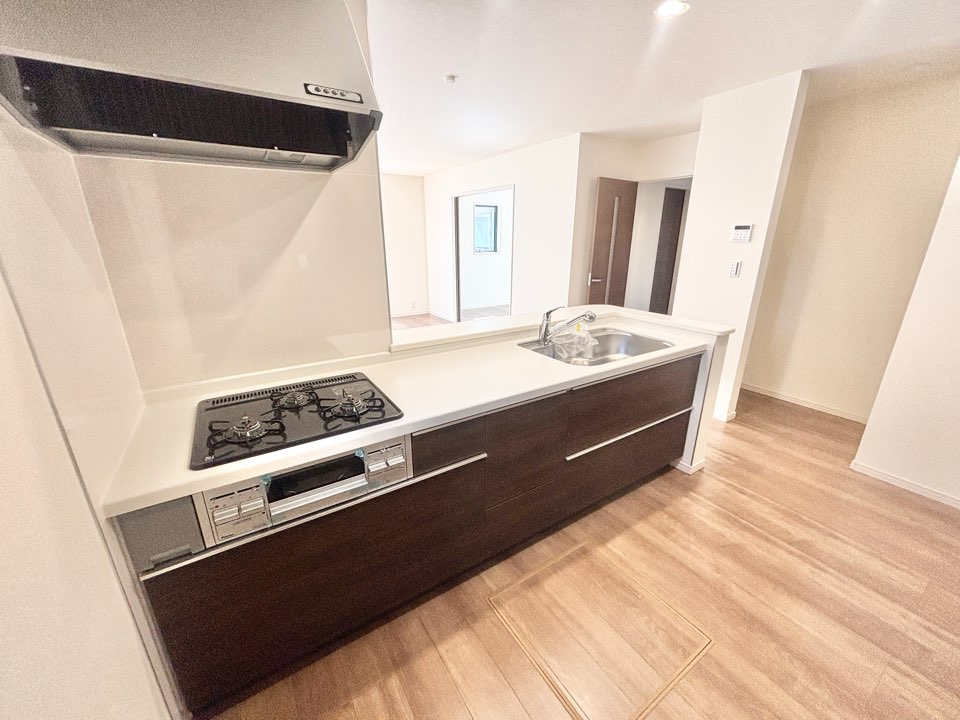 リーブルガーデン蟹江町西之森　全1棟　新築戸建のキッチン|コンパクトなキッチンで掃除もラクラク