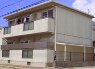 トールウッドＣの画像