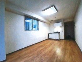 日本橋サマリヤシティハイツの内装